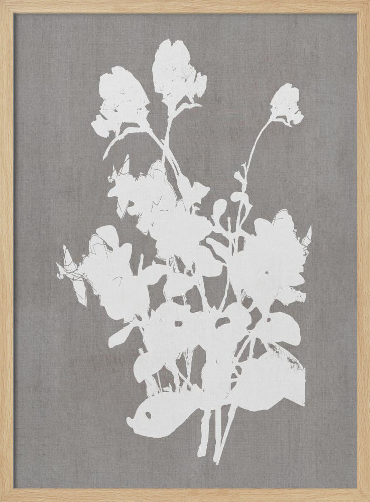 Botanical Illustration 3 | Poster