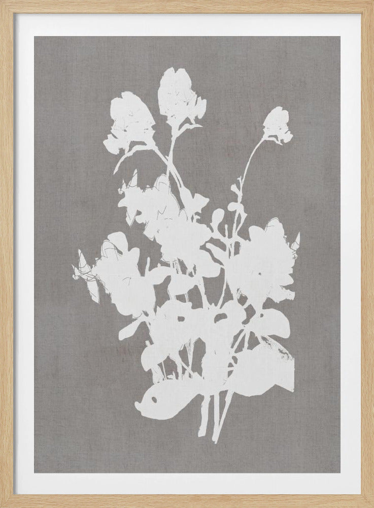 Botanical Illustration 3 | Poster