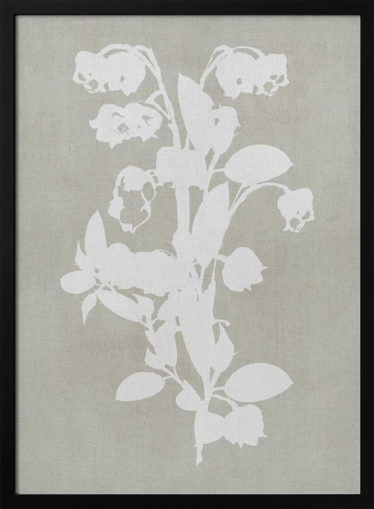 Botanical Illustration 4 | Poster
