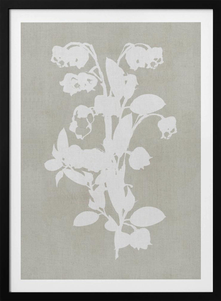 Botanical Illustration 4 | Poster