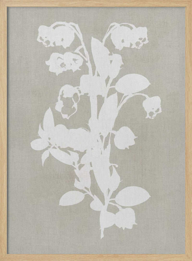 Botanical Illustration 4 | Poster