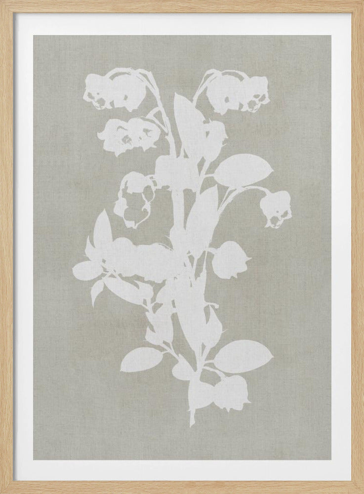 Botanical Illustration 4 | Poster