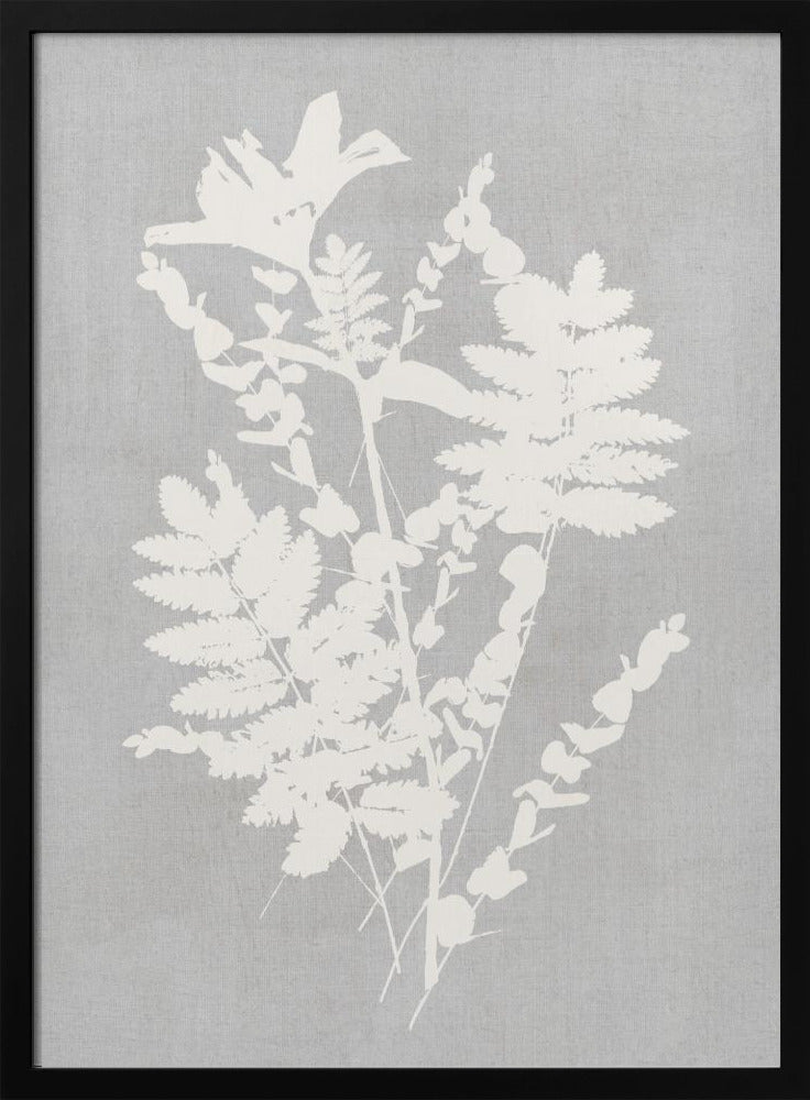 Botanical Illustration 5 | Poster