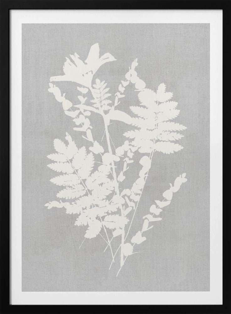Botanical Illustration 5 | Poster