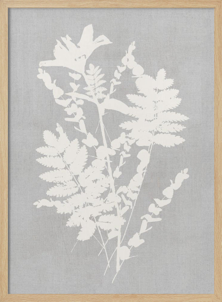 Botanical Illustration 5 | Poster