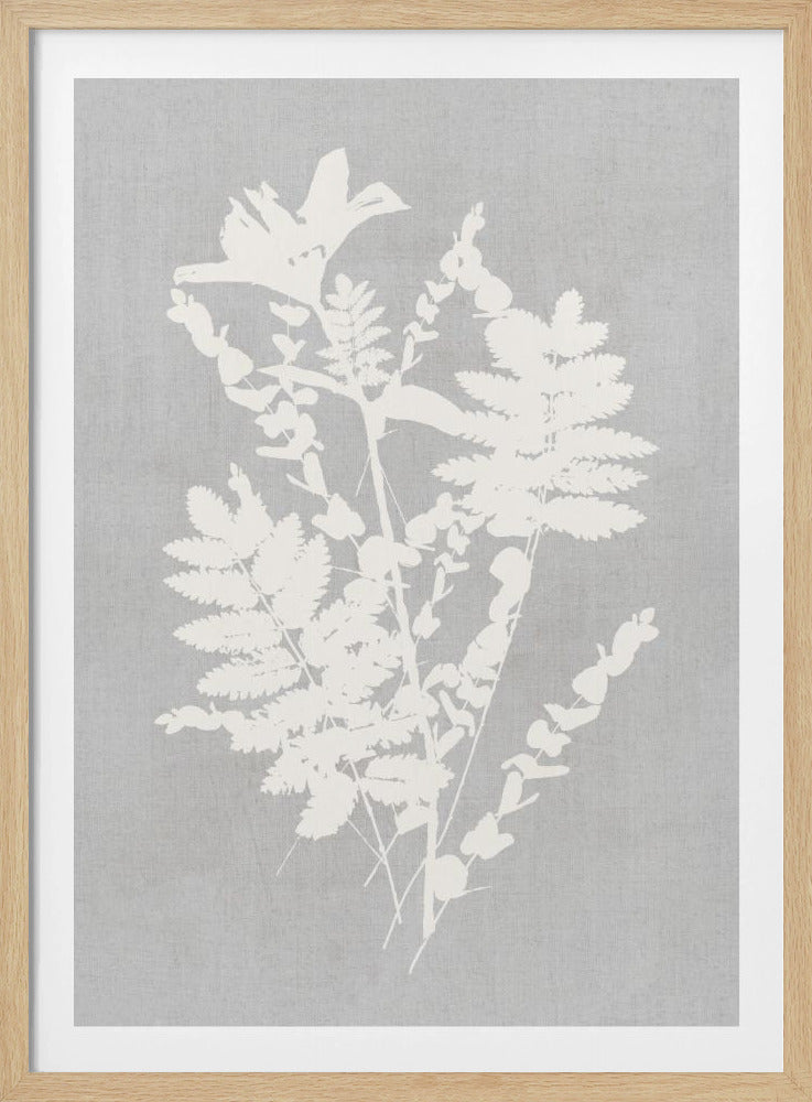 Botanical Illustration 5 | Poster