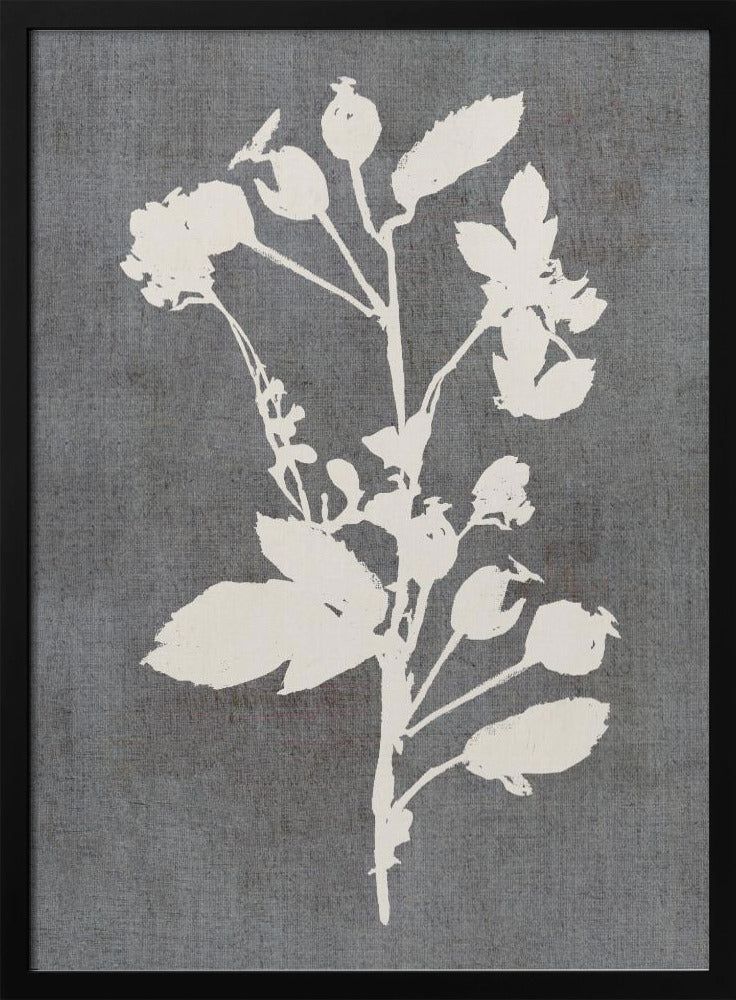 Botanical Illustration 6 | Poster