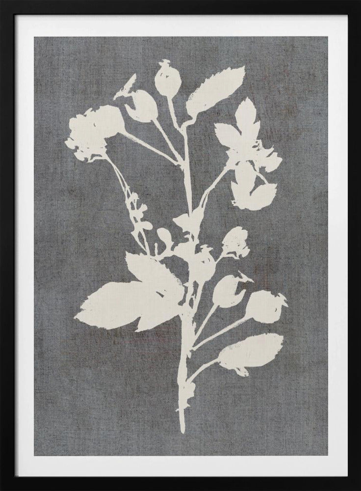 Botanical Illustration 6 | Poster