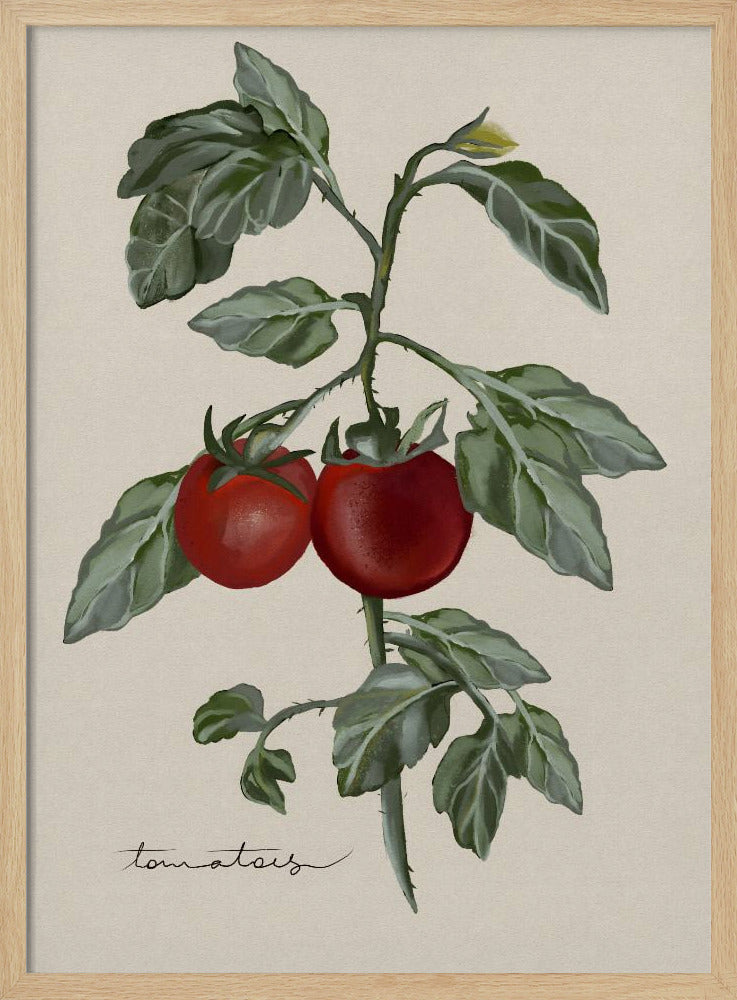 Vintage Garden | Poster