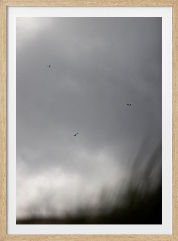 Birds and Clouds 2 | Poster