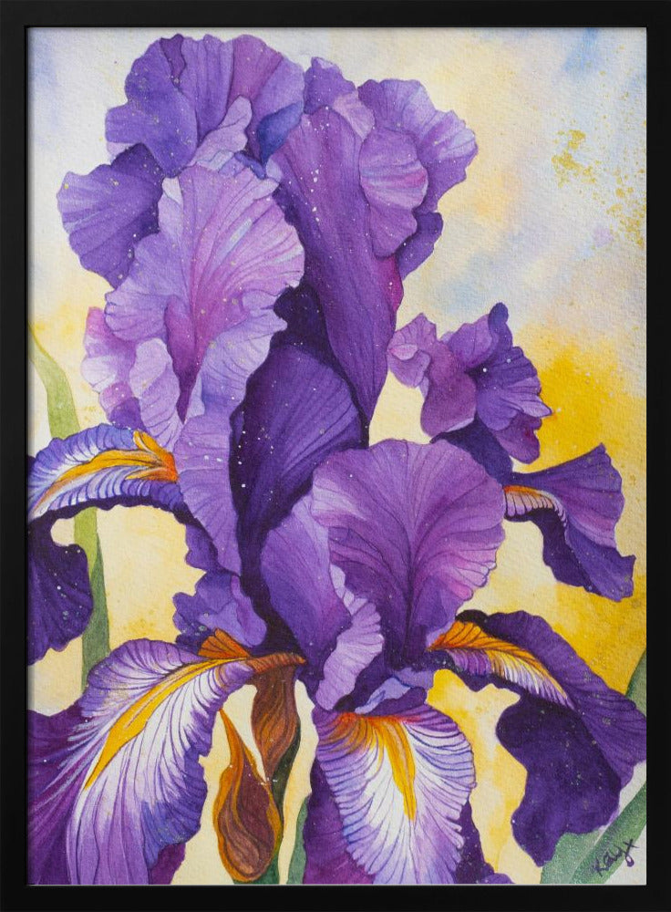 Iris Watercolour | Poster