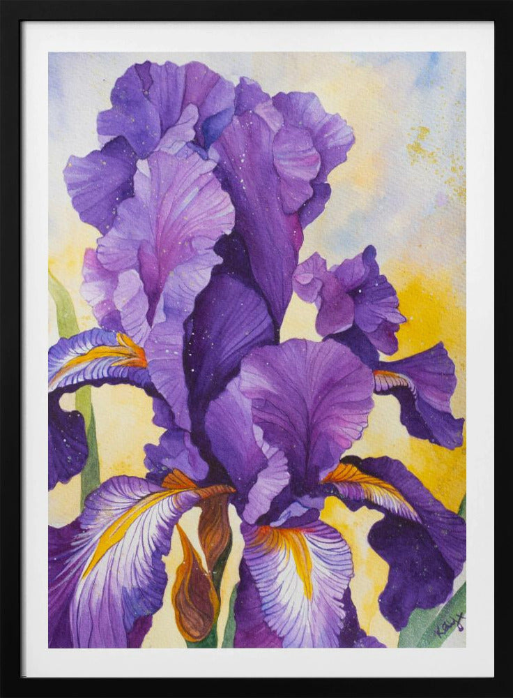 Iris Watercolour | Poster