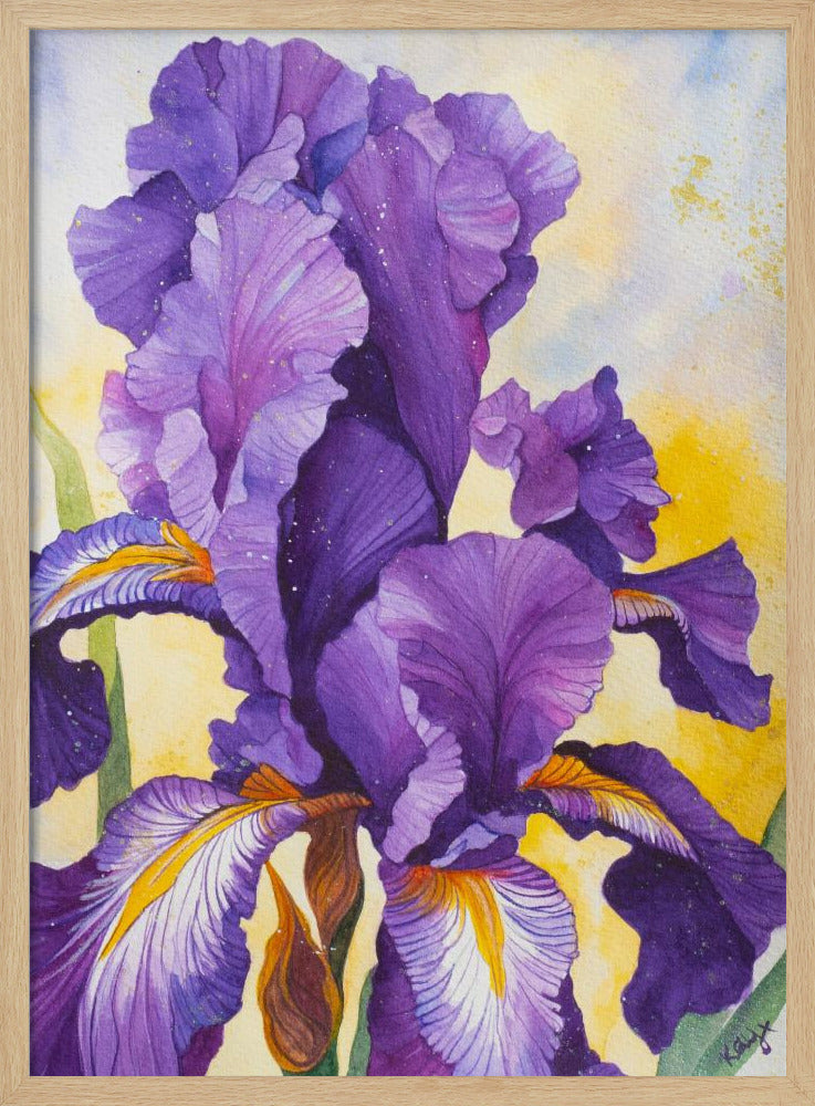 Iris Watercolour | Poster