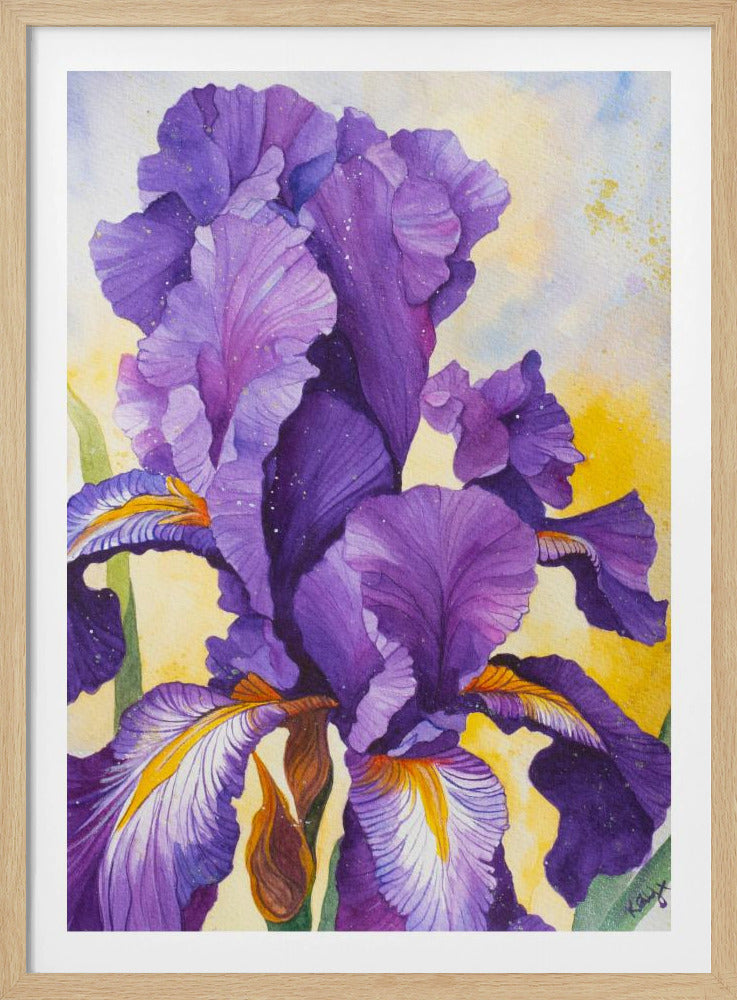 Iris Watercolour | Poster