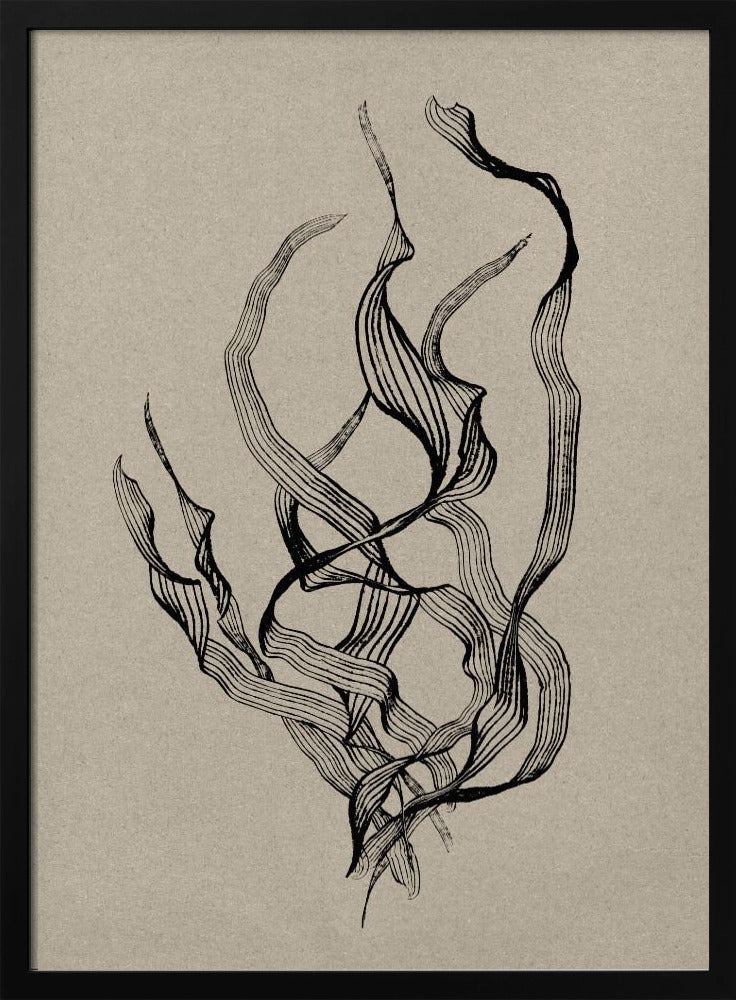 Delicate | Poster