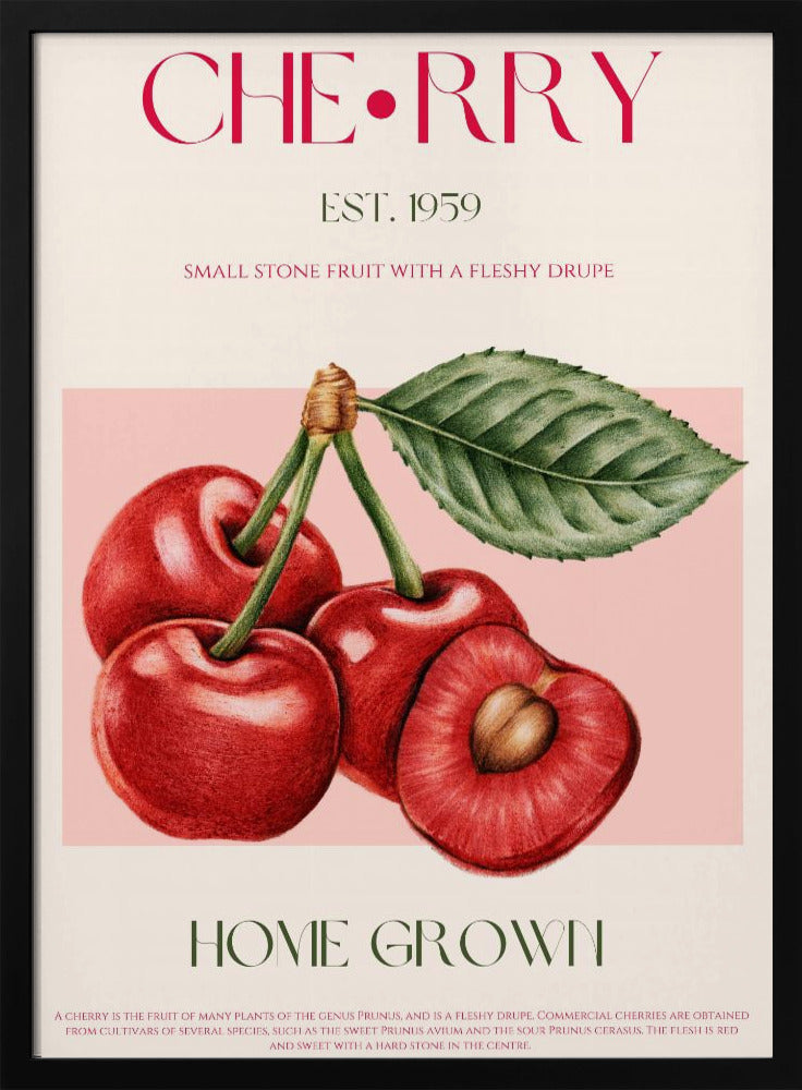 Sweet Red Cherries | Poster