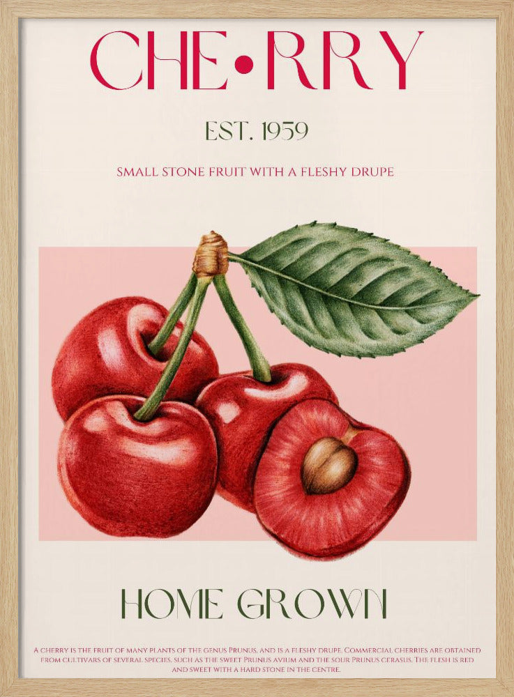 Sweet Red Cherries | Poster