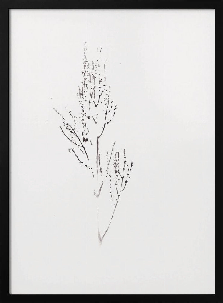 Plants | Poster