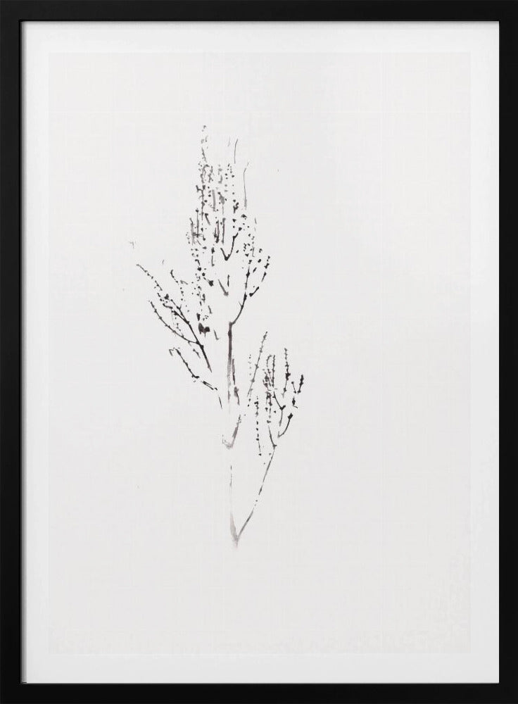 Plants | Poster