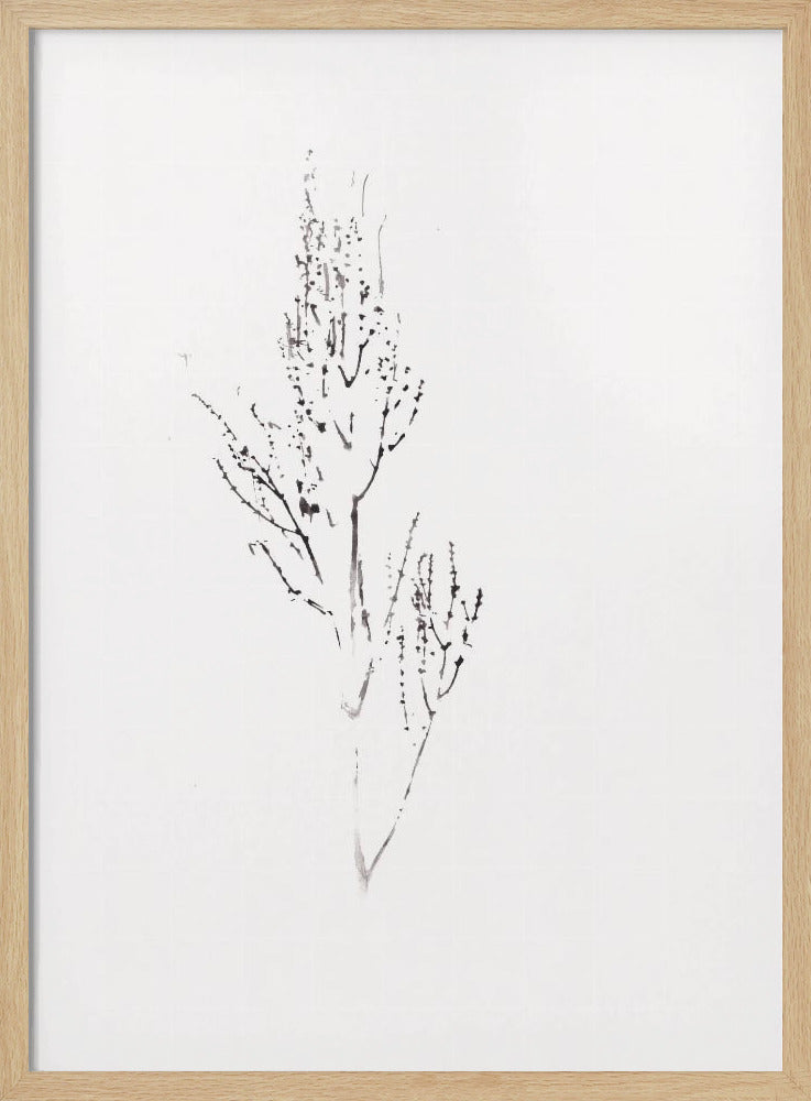 Plants | Poster