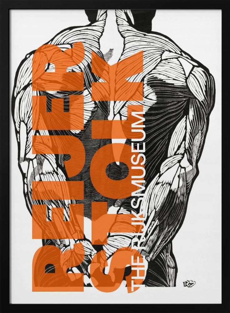 Anatomy Lines | Poster
