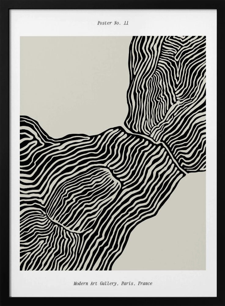 Flowing Contours | Poster