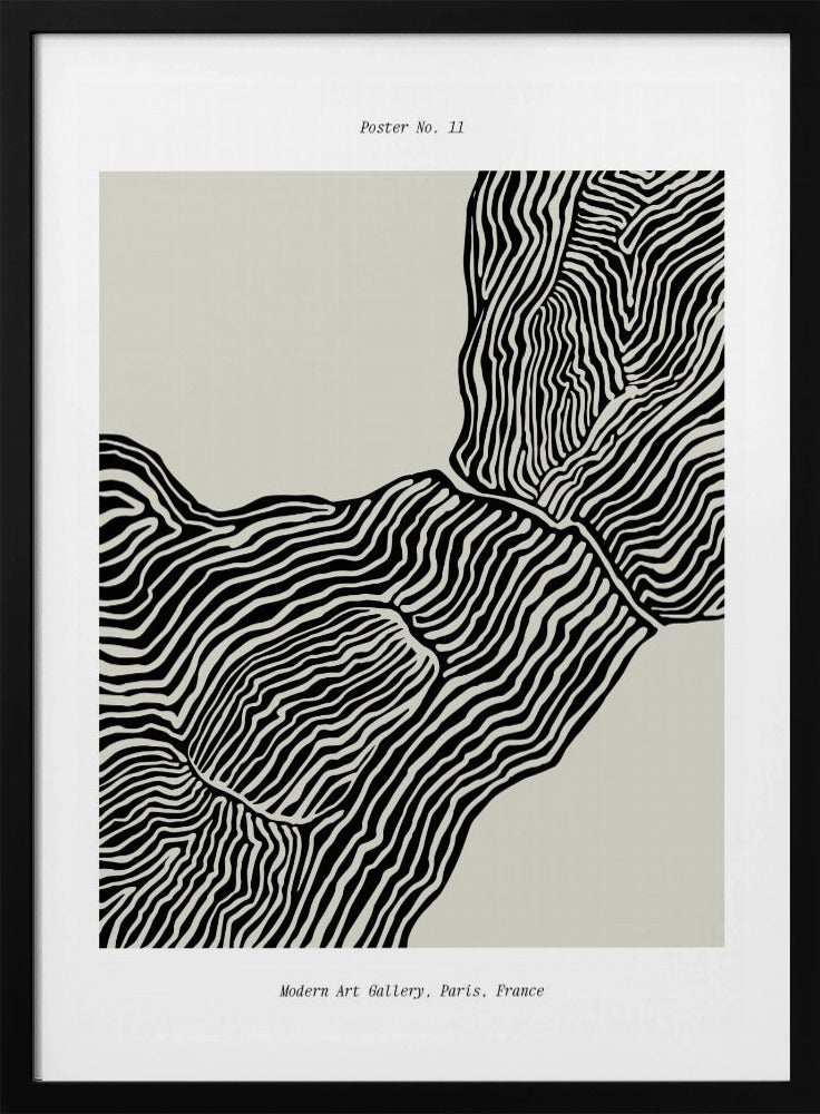 Flowing Contours | Poster