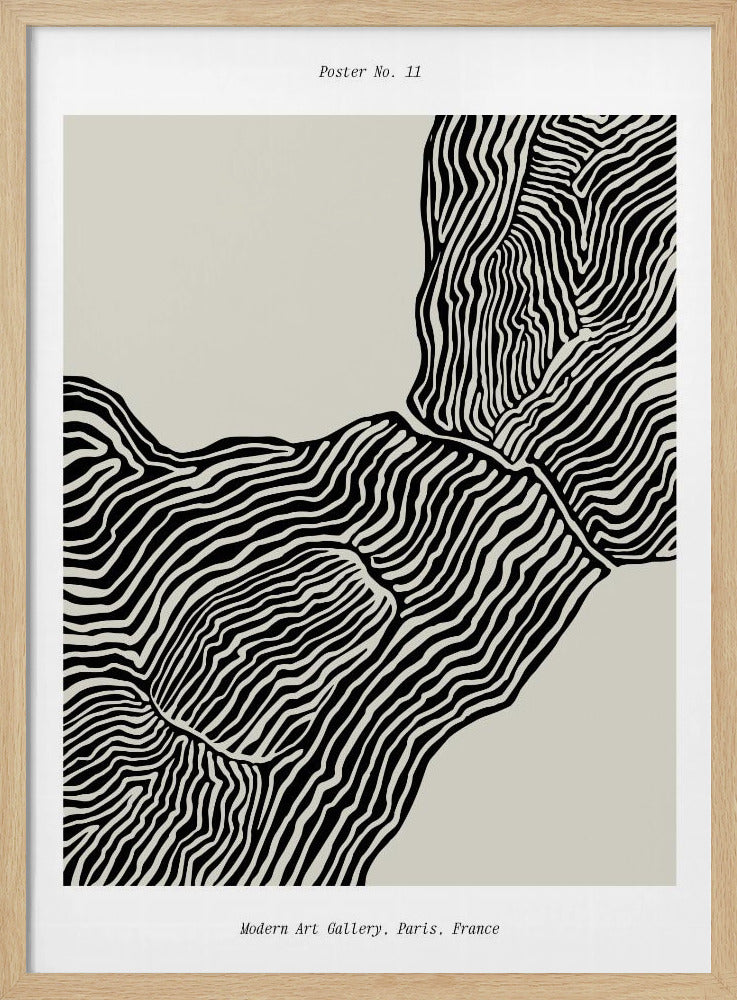 Flowing Contours | Poster