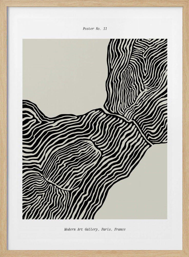 Flowing Contours | Poster