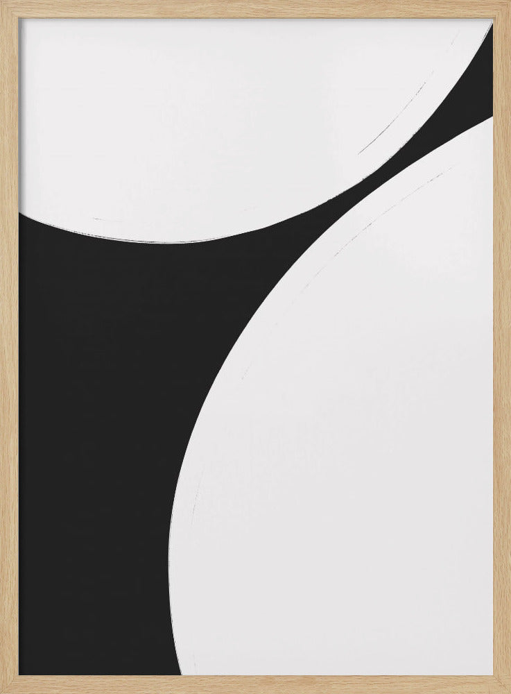 Monochrome Harmony | Poster