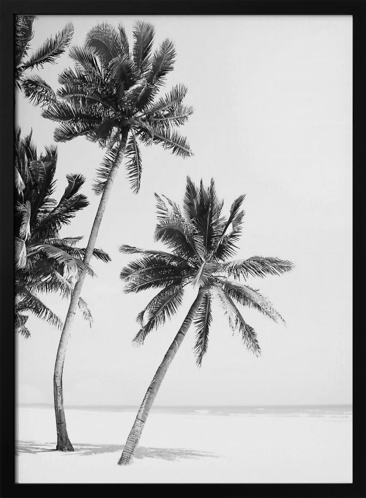 Island | Poster