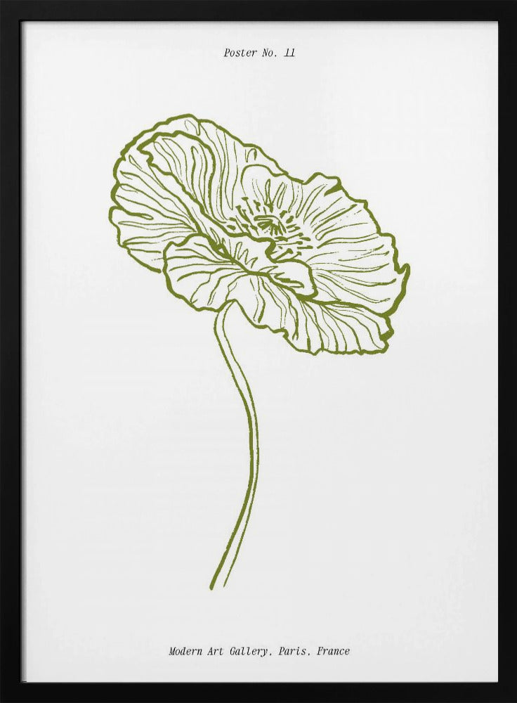 Pale Poppy Sketch | Poster