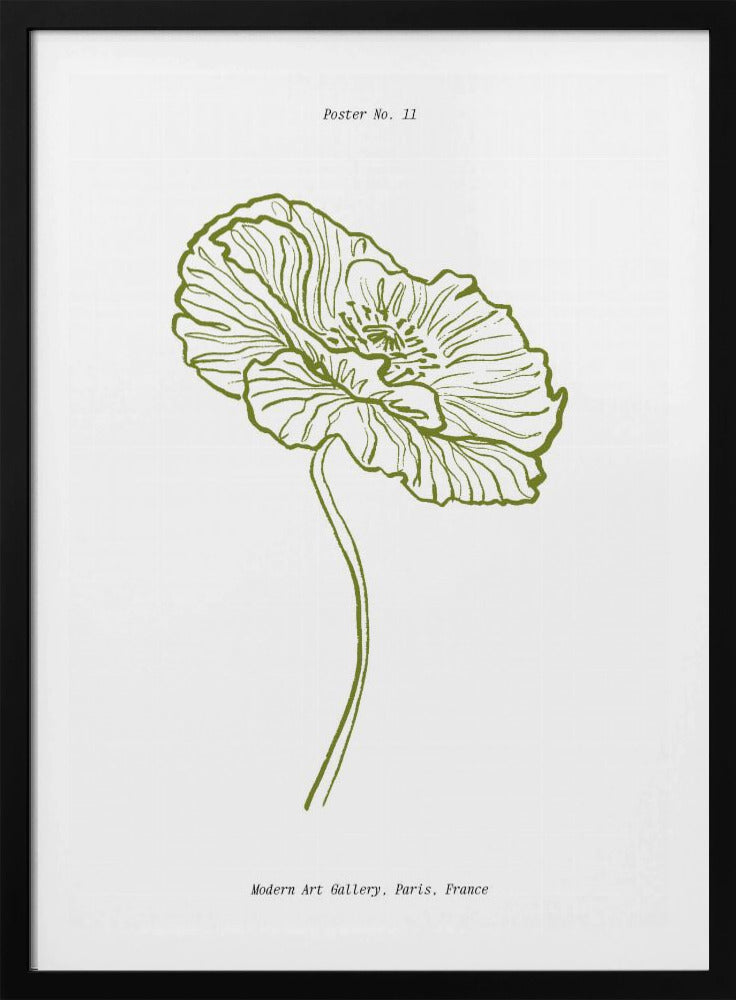 Pale Poppy Sketch | Poster
