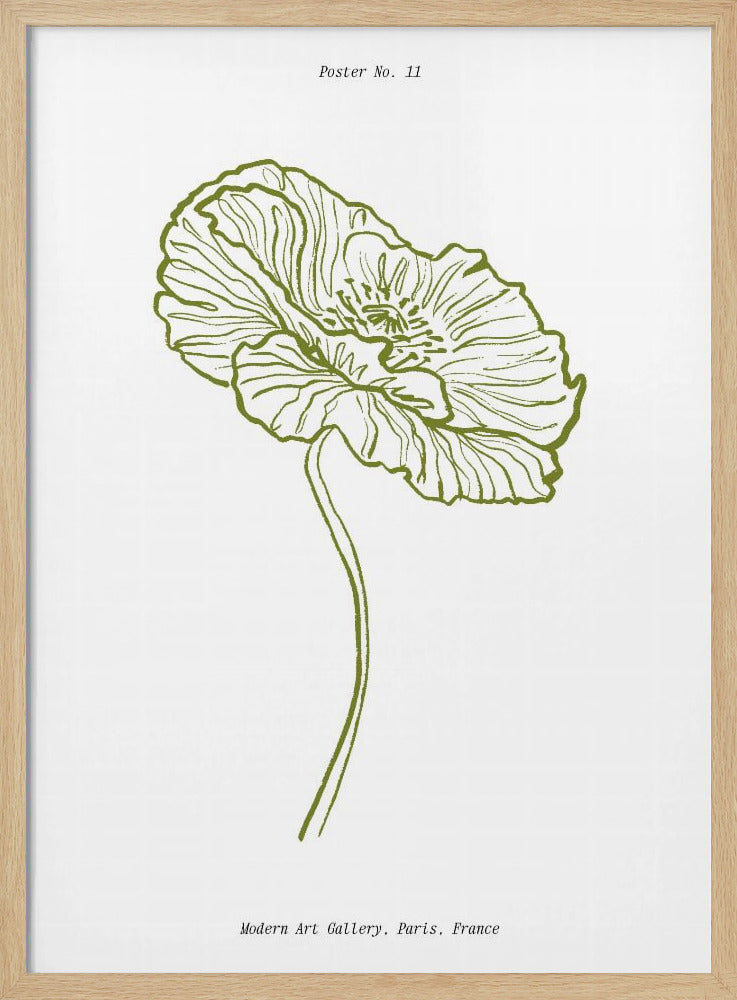 Pale Poppy Sketch | Poster
