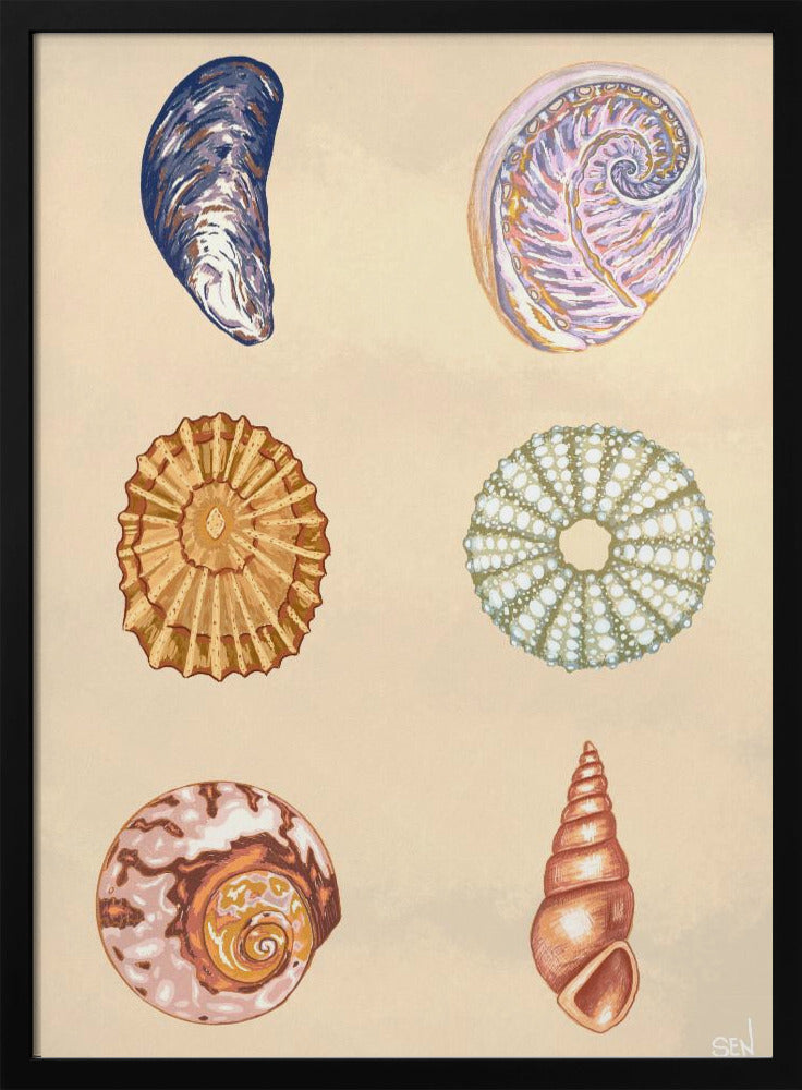 Treasures of the Tide | Poster