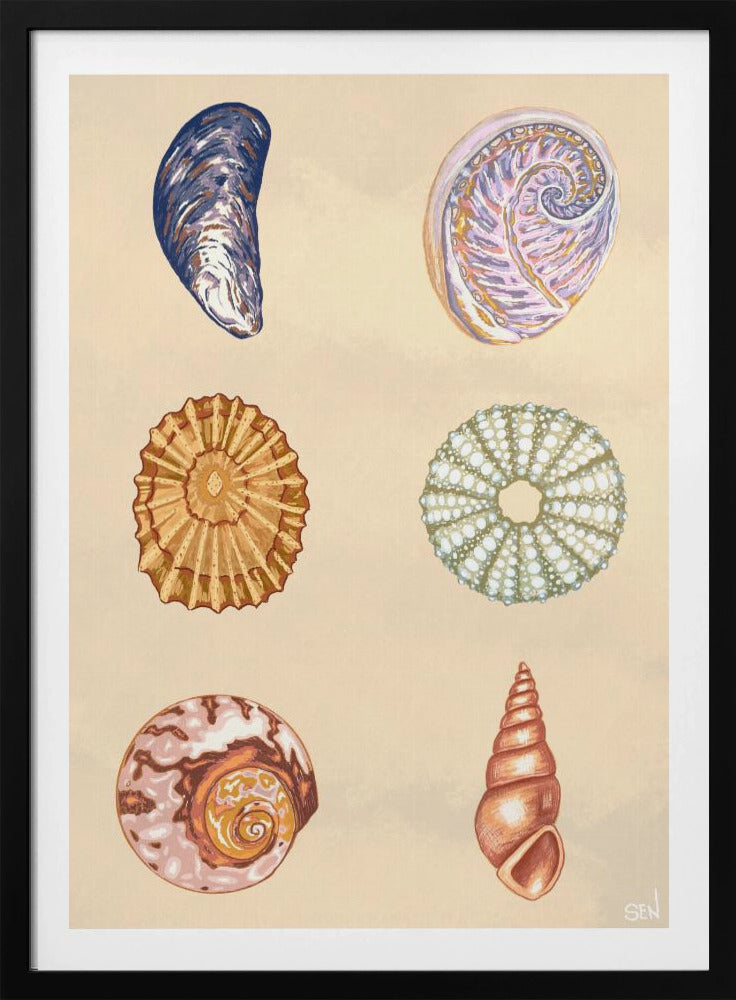 Treasures of the Tide | Poster