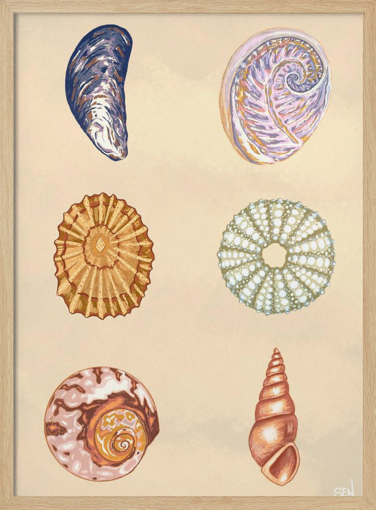 Treasures of the Tide | Poster