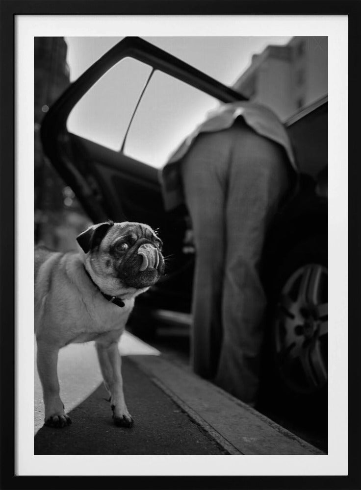 Untitled | Poster