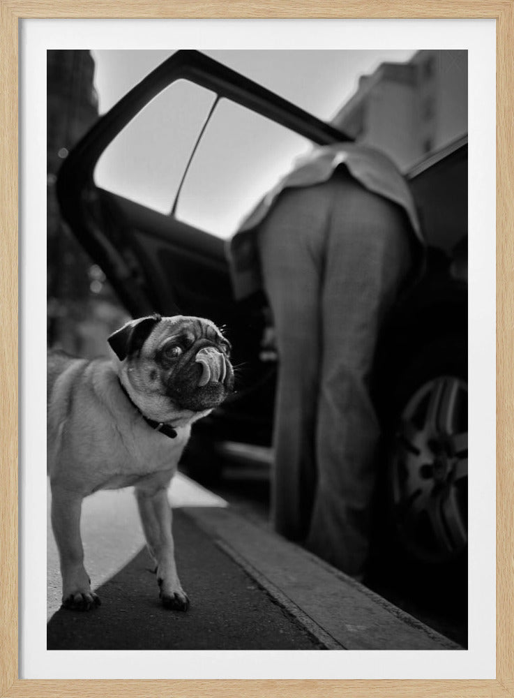 Untitled | Poster