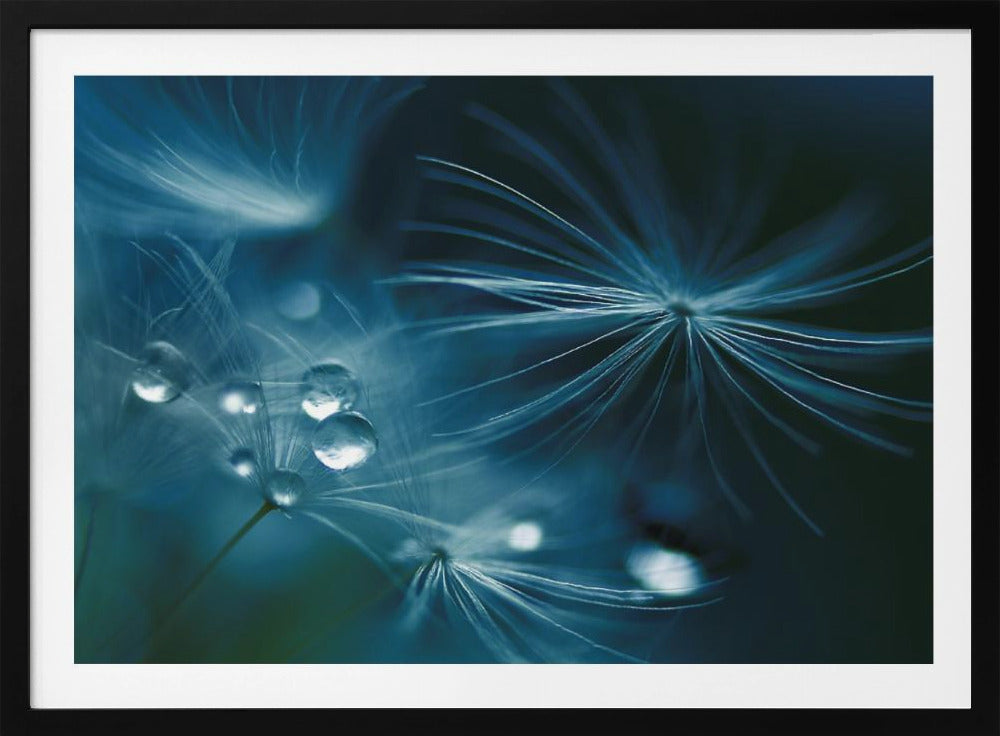 soft touch | Poster