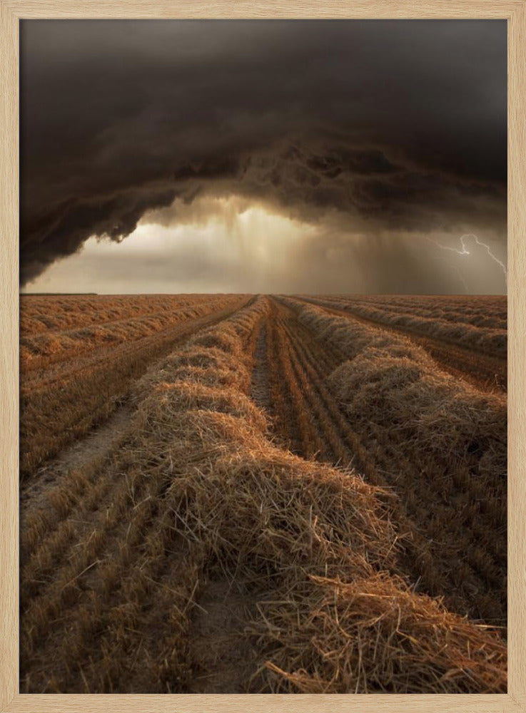 Untitled | Poster