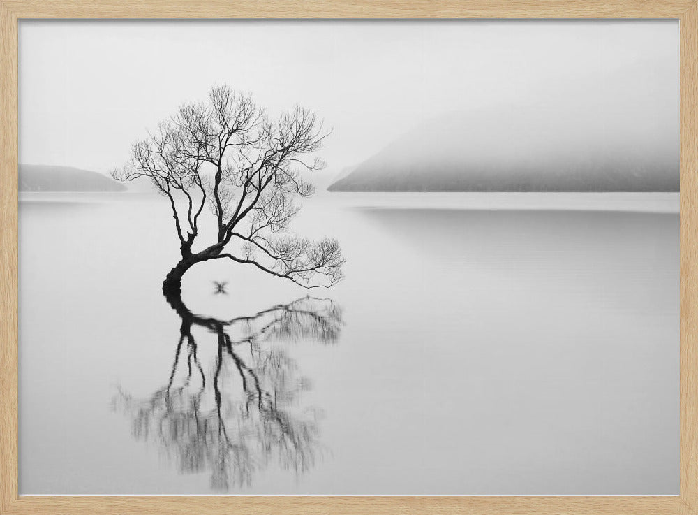 Serenity | Poster