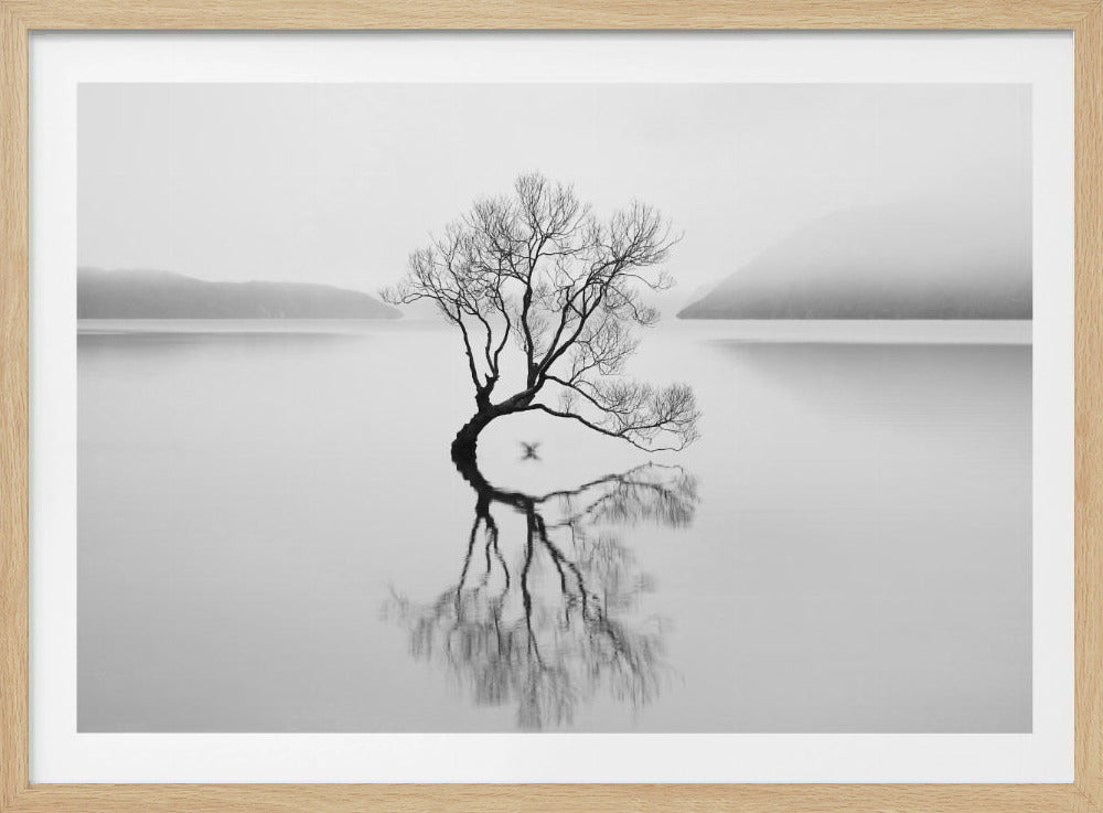 Serenity | Poster