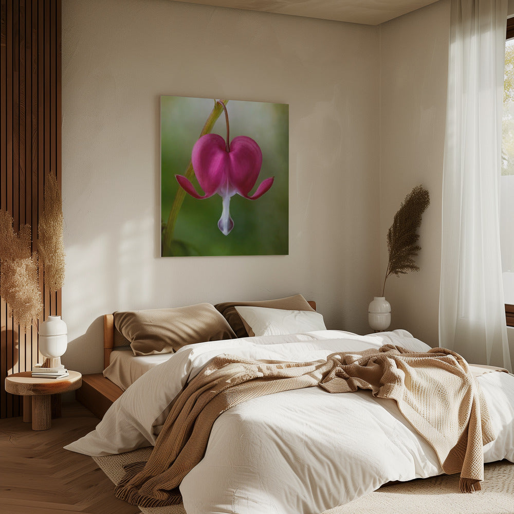 Bleeding Heart | Canvas