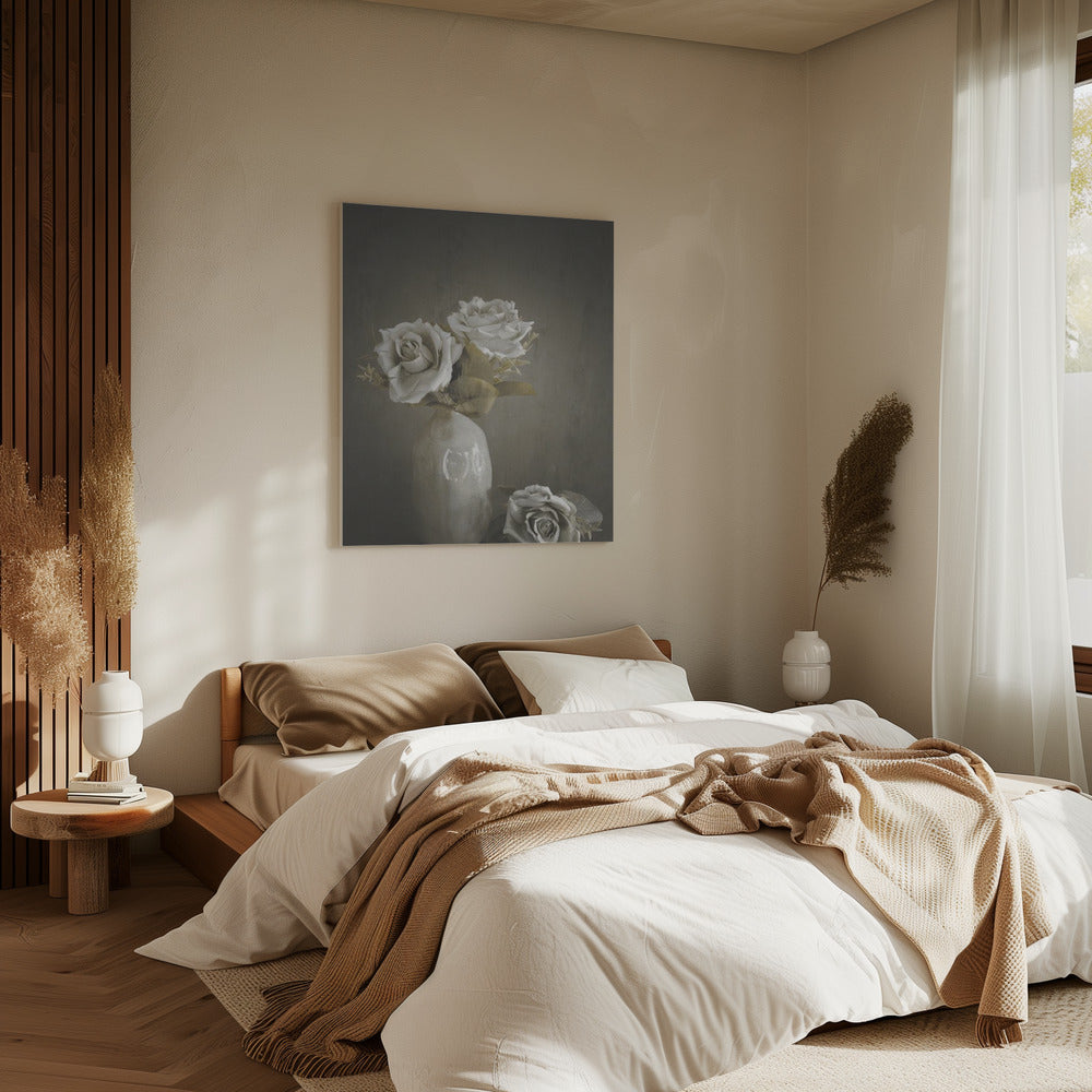 Softened | Canvas