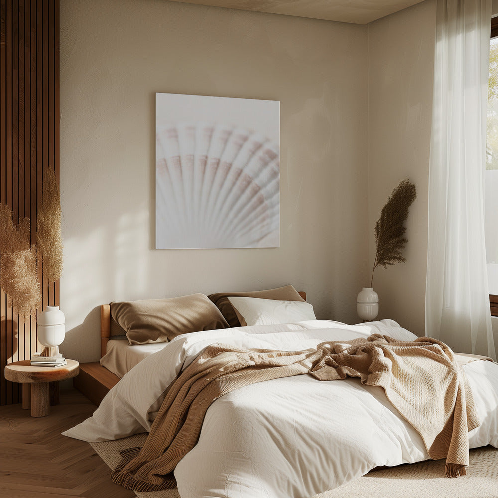 Shell | Canvas