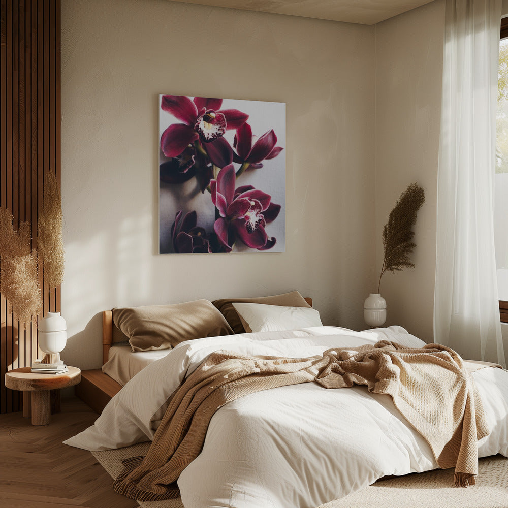 Orchid Elegance | Canvas