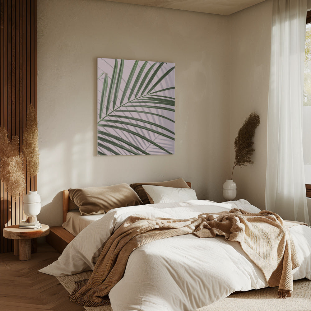 Palm Leaf Shadow | Canvas