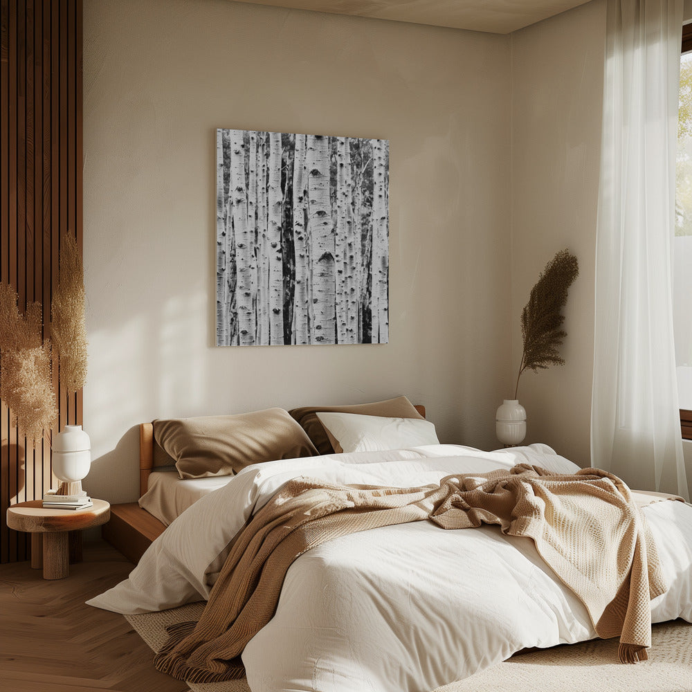 Birches | Canvas