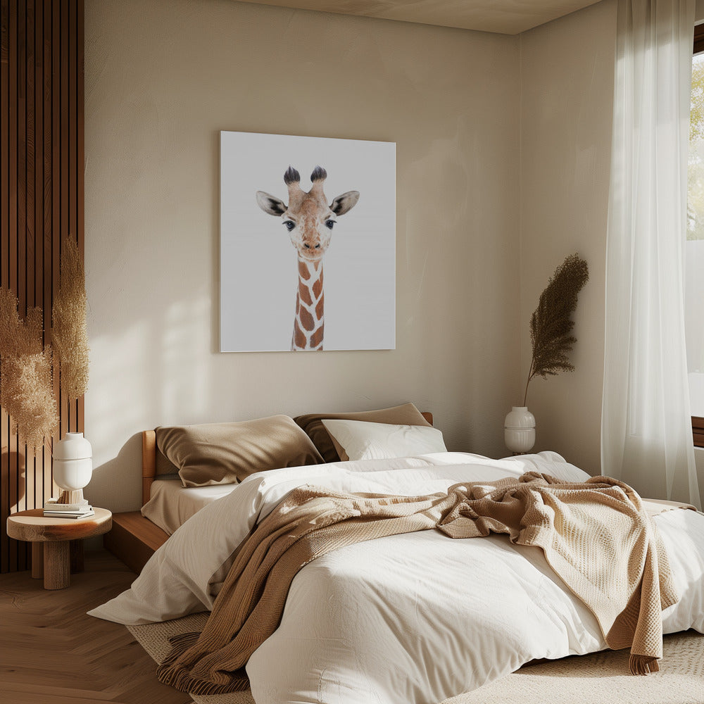 Baby Giraffe | Canvas